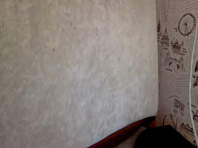Live sex webcam photo for JolyBoss #261992538