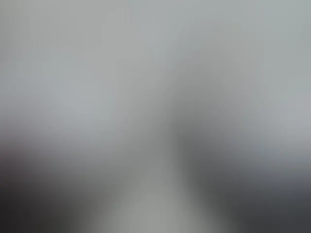 Live sex webcam photo for ShanellMoore #241371770
