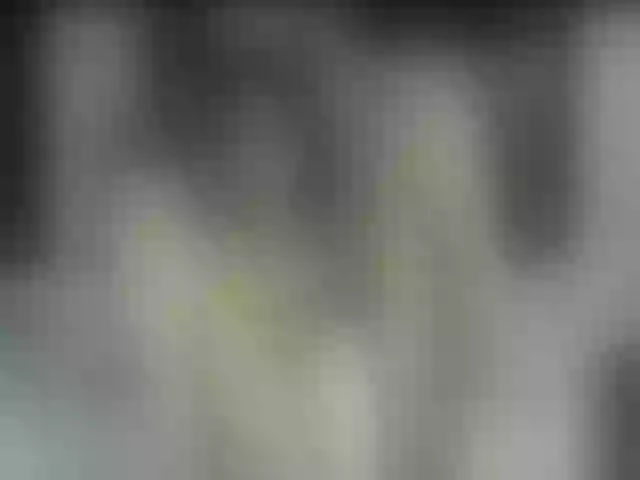 Live sex webcam photo for Latinangel1_ #253304184