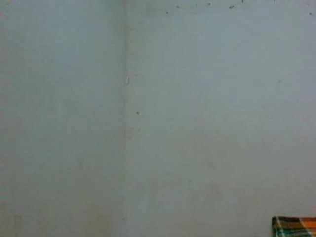 Live sex webcam photo for coco-popo #241393373