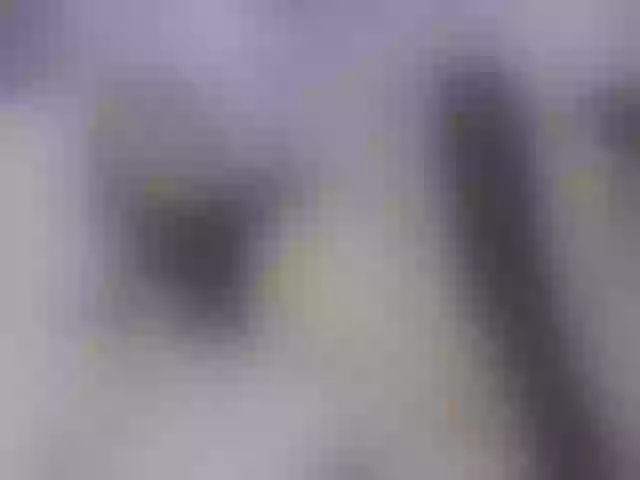 Live sex webcam photo for VennusLove #259818044