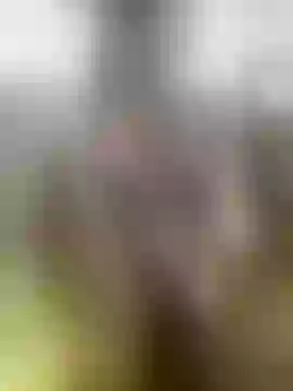 Live sex webcam photo for Anyuta_a #242921437