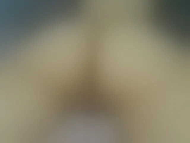 Live sex webcam photo for EvaKill #250635170