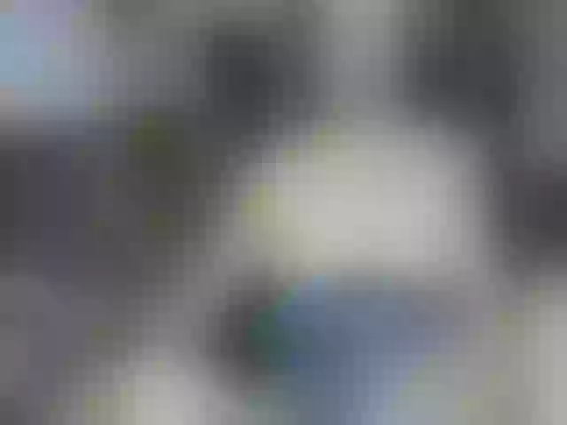 Live sex webcam photo for SweetWoman777 #252560761