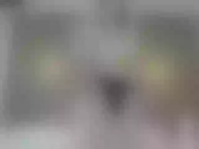 Live sex webcam photo for Miia_cox #255315581