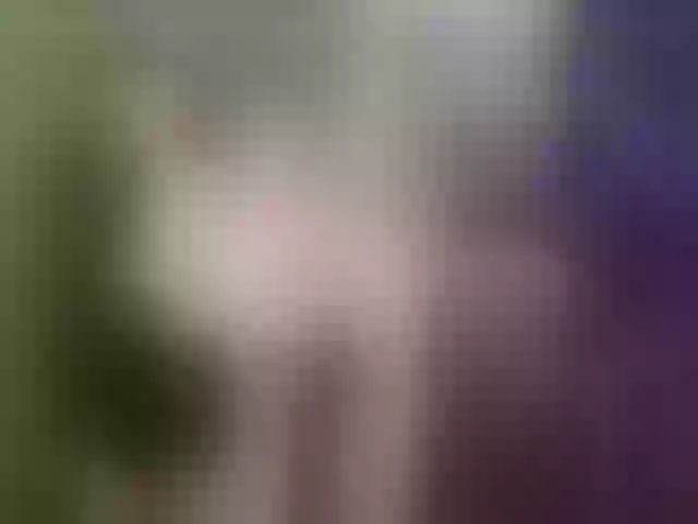 Live sex webcam photo for Evelynevi #255789745