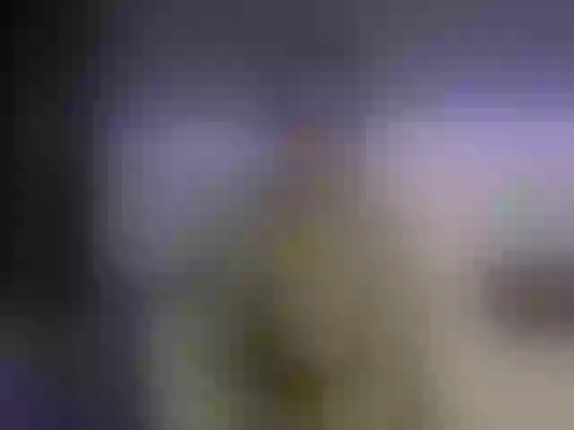 Live sex webcam photo for Your_Desirre #259474639