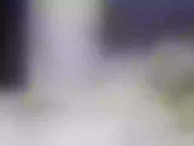 Live sex webcam photo for LoveLama #241172189