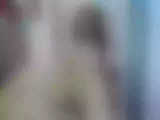 Live sex webcam photo for margari-bover #248686490