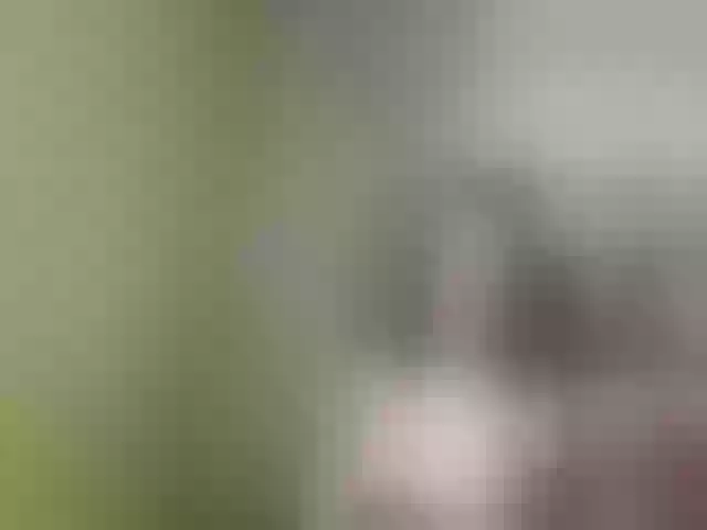 Live sex webcam photo for Evelynevi #252973513