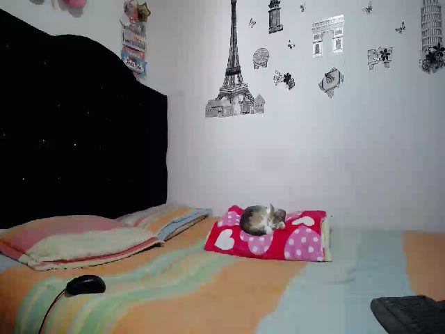 Live sex webcam photo for GracieVice #255372526