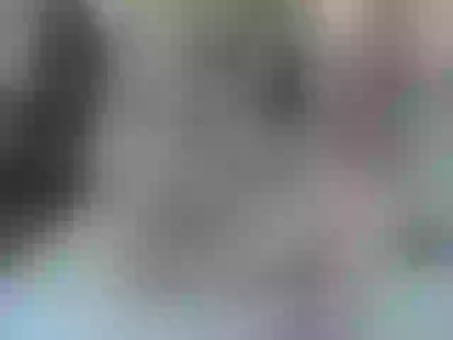 Live sex webcam photo for Mssburbuja #264748372