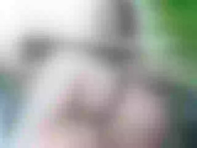 Live sex webcam photo for IngritBitch #250243263