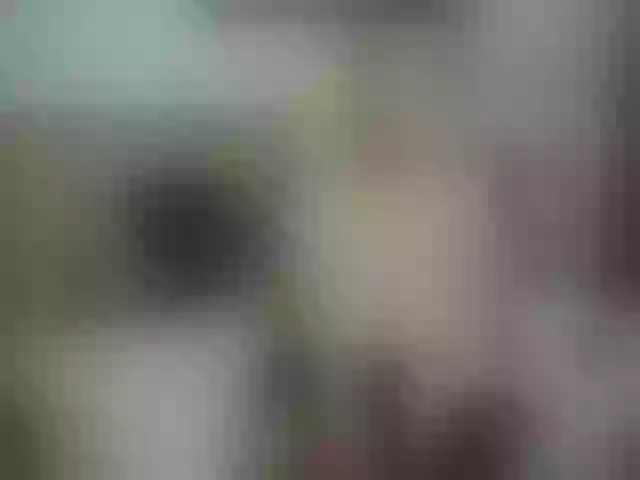 Live sex webcam photo for DdevlishAngel #257721534