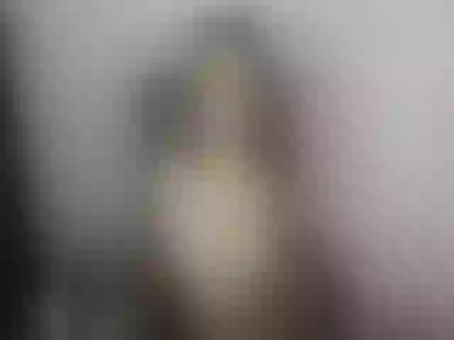 Live sex webcam photo for stallion_d #265218332