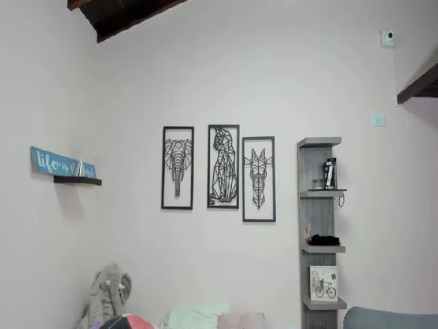 Live sex webcam photo for LEYNABRAUN #252263651
