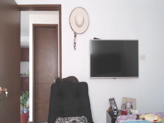 Live sex webcam photo for Anny_Lopezzz #255661794