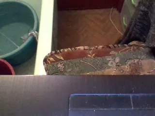 Live sex webcam photo for Ryzhulya1 #240668957