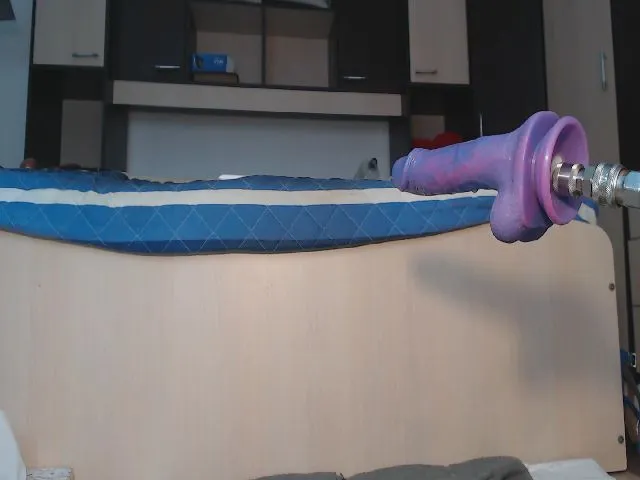 Live sex webcam photo for hotCarlaXO #264344445