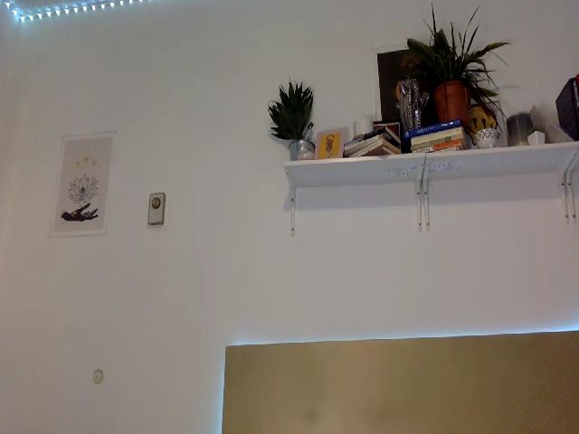 Live sex webcam photo for AvaHoney #252774058