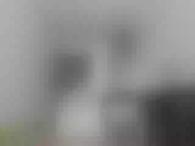 Live sex webcam photo for Anymaisa_Air #255901106