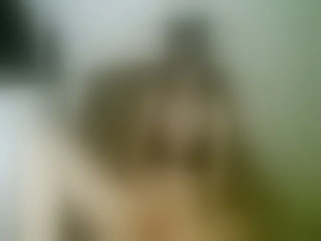 Live sex webcam photo for Terra1123 #265121667