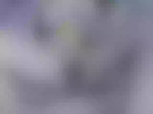 Live sex webcam photo for nathyjones #249162225