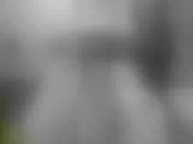Live sex webcam photo for Oldslyfoxi #253190808