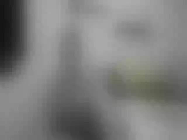 Live sex webcam photo for jennifer1177 #262778564