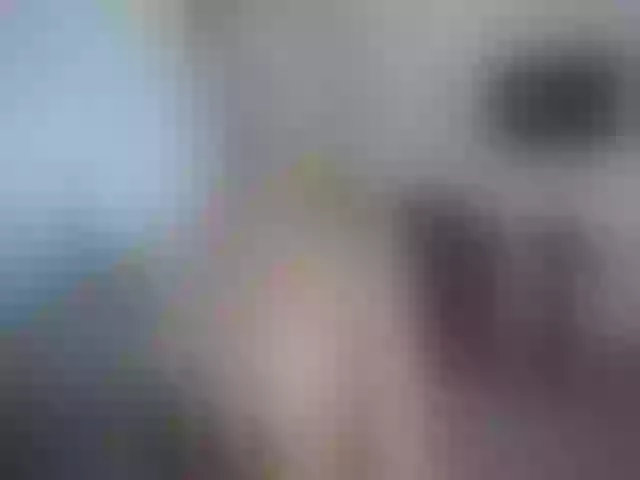 Live sex webcam photo for The_Croissant #255145286
