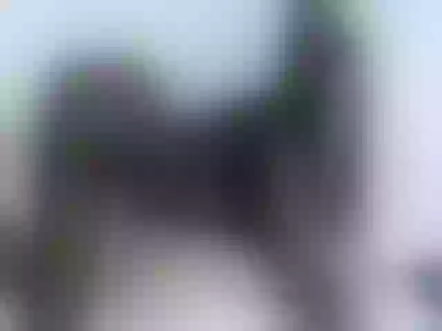 Live sex webcam photo for Leidysautss #264998578