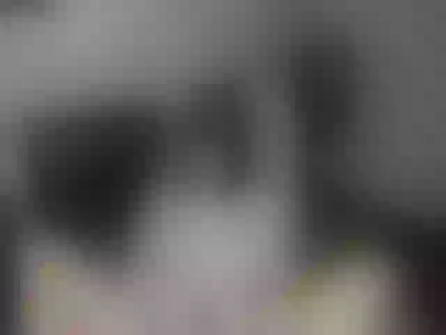 Live sex webcam photo for Sexnherbs #262932781