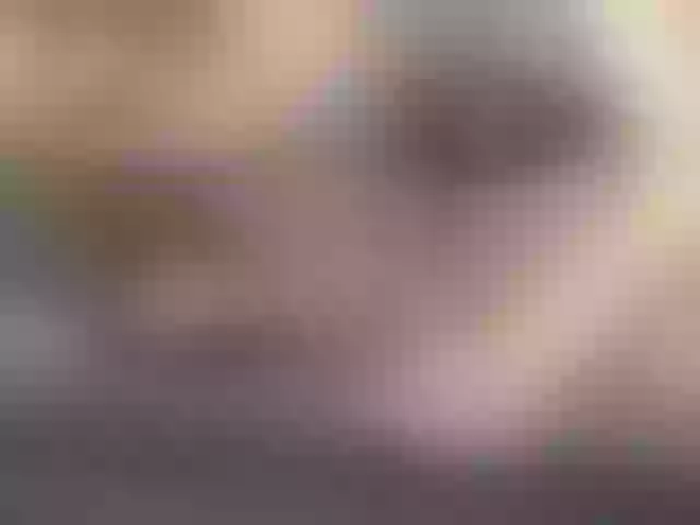 Live sex webcam photo for fox-seks #249843795
