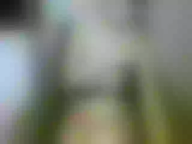 Live sex webcam photo for Terra1123 #265147272