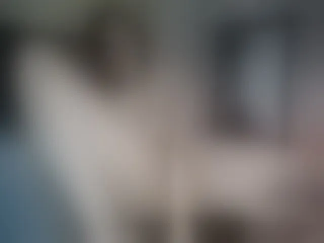 Live sex webcam photo for kataleyasex6 #253883055