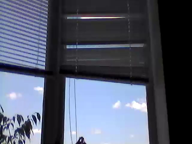 Live sex webcam photo for HotMakadamia #253373182