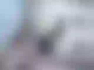 Live sex webcam photo for rojane18 #240608922