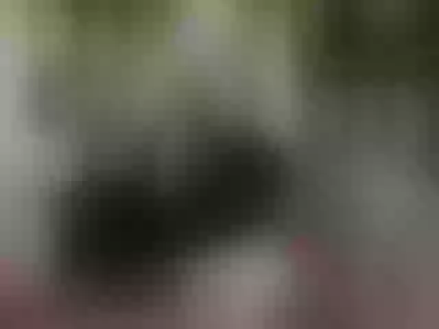 Live sex webcam photo for LilithLautrec #253914769
