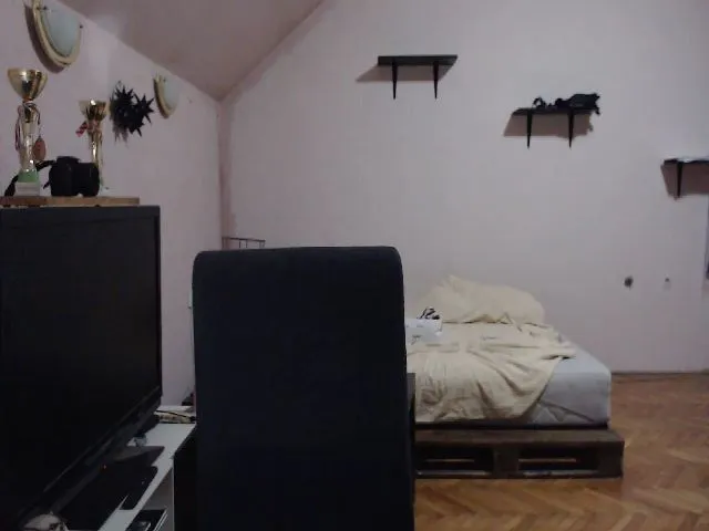Live sex webcam photo for SweetRacerEl #254231670