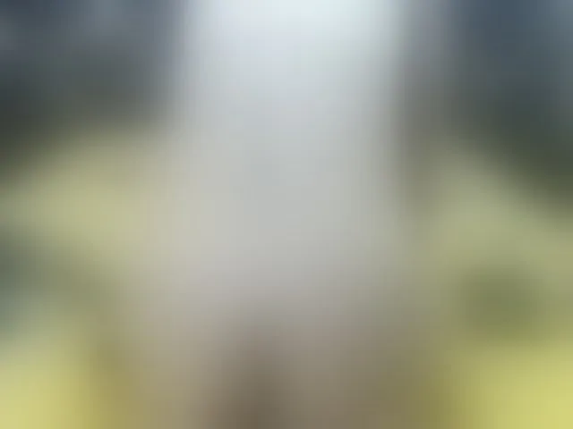 Live sex webcam photo for Titawish #241376259