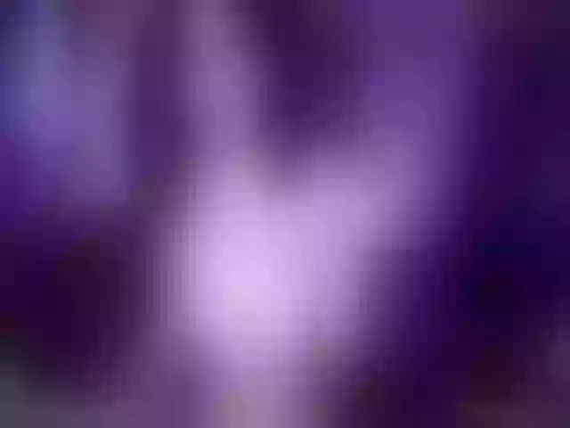 Live sex webcam photo for Yarrow #254417251
