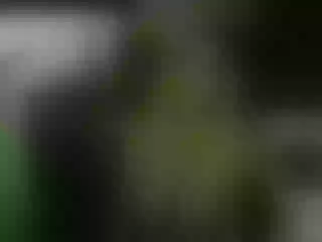 Live sex webcam photo for DaniBrasshole #255334910