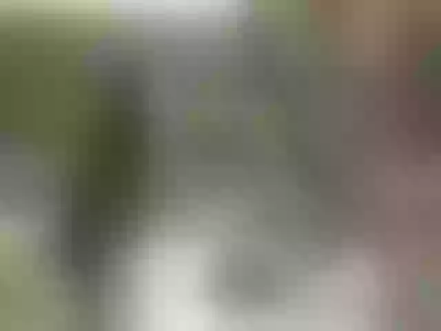 Live sex webcam photo for LollipoppersX #241056048