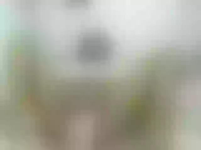 Live sex webcam photo for KiaraKaneel #254941453