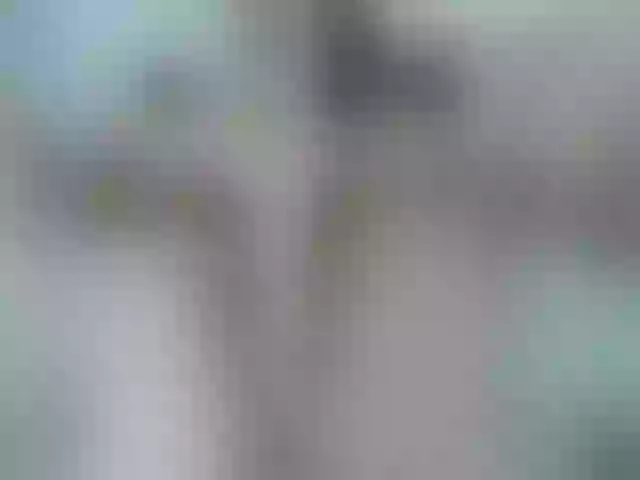 Live sex webcam photo for Mssburbuja #256664479