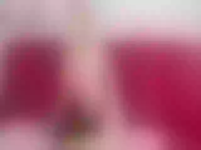 Live sex webcam photo for Lerry_Teen #263444708