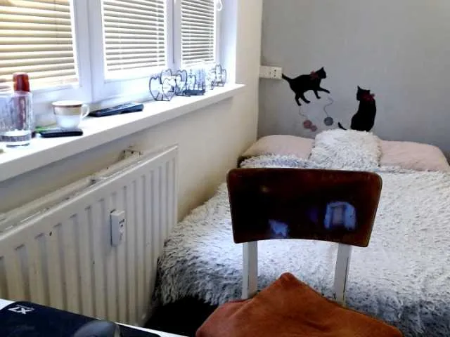 Live sex webcam photo for Bessy123 #242511815