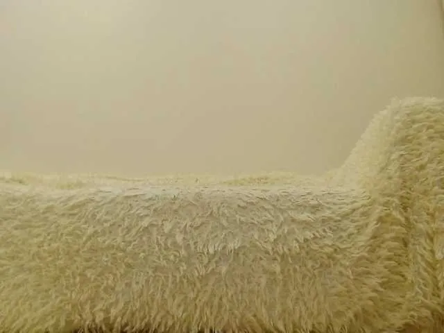 Live sex webcam photo for Mullty #241426413