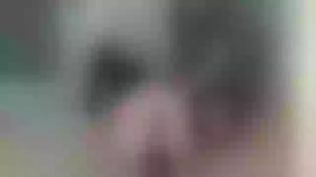 Live sex webcam photo for LaurenceAndViolette #244228091