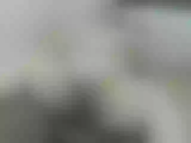 Live sex webcam photo for pugglelover #259555128